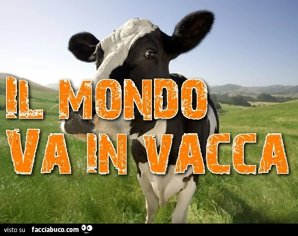 Vaccata