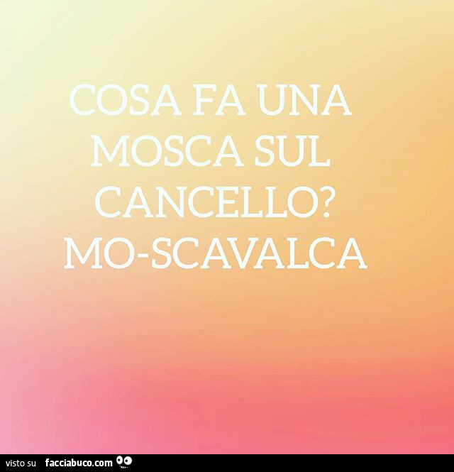 Cosa fa una mosca sul cancello? Mo-scavalca