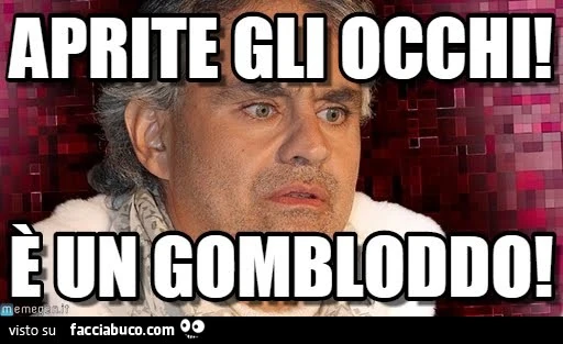 Aprite gli occhi! È Un gombloddo