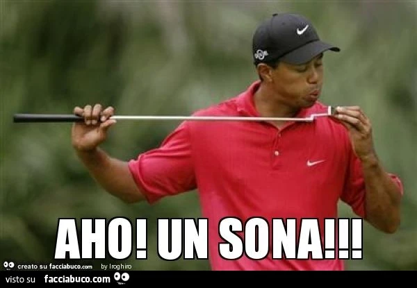 Aho! Un sona