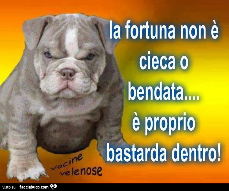 La fortuna non è cieca o bendata. È Proprio bastarda dentro