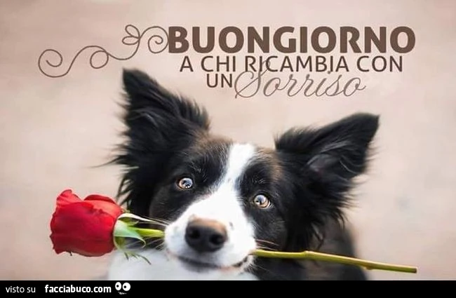 Buongiorno a chi ricambia con un sorriso