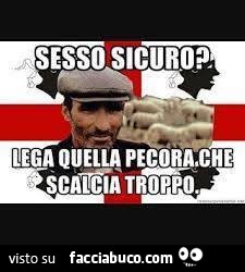 Sesso sicuro? Lega quella pecora, che scalcia troppo