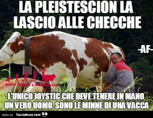 La pleistescion la lascio alle checche. L'unico joystic che deve tenere in mano un vero uomo, sono le minne di una vacca