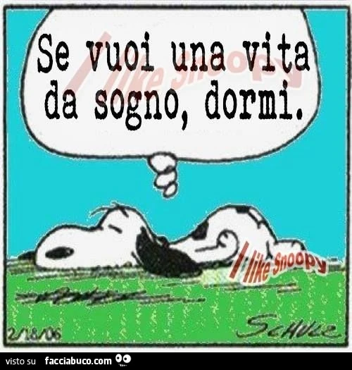 Se vuoi una vita da sogno, dormi