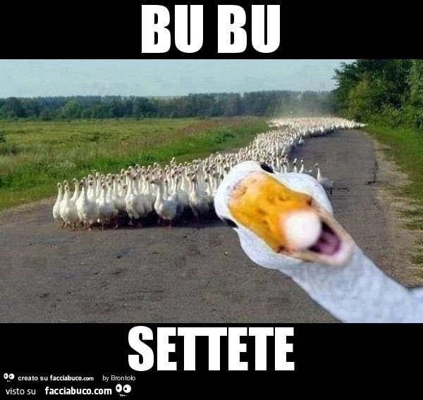 Bu bu settete