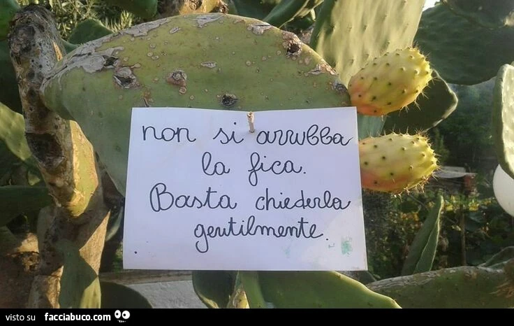 Fica