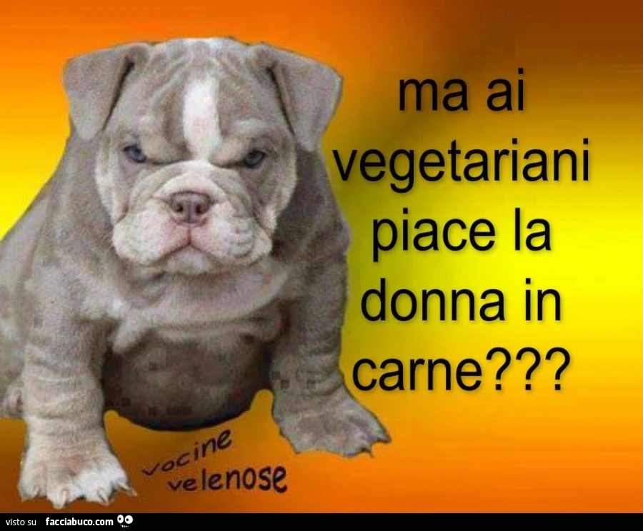 Ma ai vegetariani piace la donna in carne?
