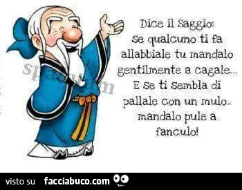 Dice il saggio: se qualcuno ti fa allabbiale tu mandalo gentilmente a cagale. E se ti sembla di pallale con un mulo, mandalo pule a fanculo