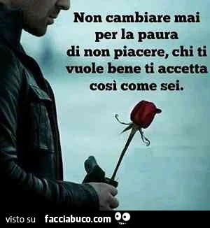 Non cambiare mai per la paura di non piacere, chi ti vuole bene ti accetta così come sei