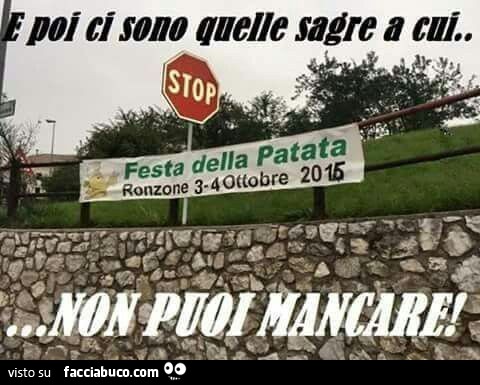 meme del segnale di stop