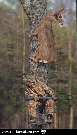 Il cacciatore cerca il cervo, che è arrampicato sull'albero sopra di lui
