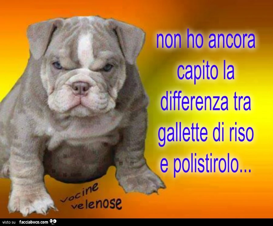 Non ho ancora capito la differenza tra gallette di riso e polistirolo