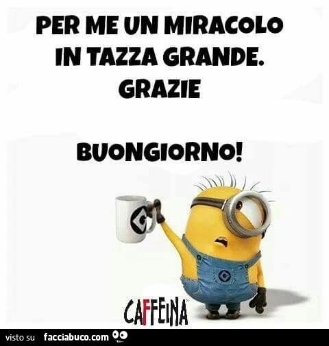 Per me un miracolo in tazza grande grazie. Buongiorno