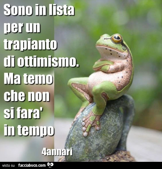 Sono in lista per un trapianto di ottimismo. Ma temo che non si farà in tempo