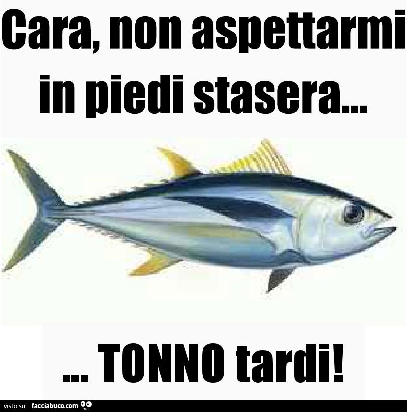 Cara, non aspettarmi in piedi stasera. Tonno tardi