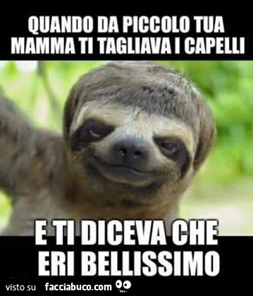 Quando da piccolo tua mamma ti tagliava i capelli e ti diceva che eri bellissimo