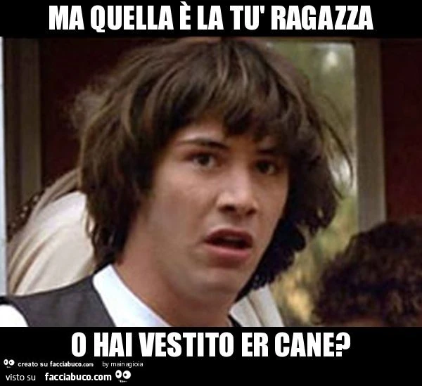 Ma quella è la tù ragazza o hai vestito er cane?
