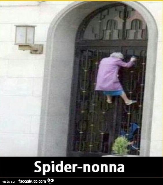 Spider-nonna