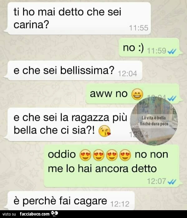 Ti ho mai detto che sei carina? No. E che sei bellissima? Aww no. È Perchè fai cagare
