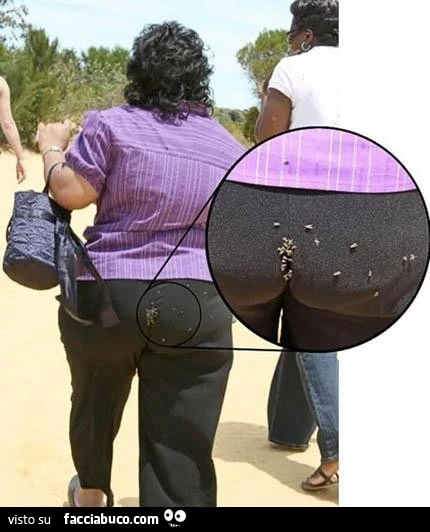 Culona con le mosche sul sedere