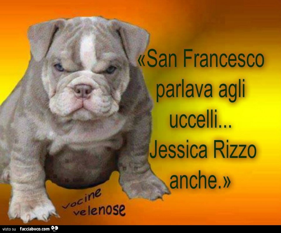 San Francesco parlava agli uccelli&hellip; Jessica Rizzo anche