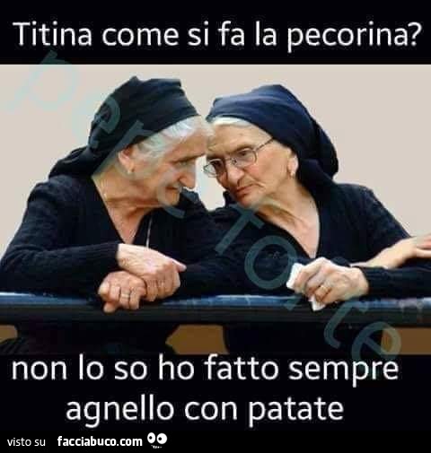 Titina come si fa la pecorina? Non lo so ho fatto sempre agnello con patate