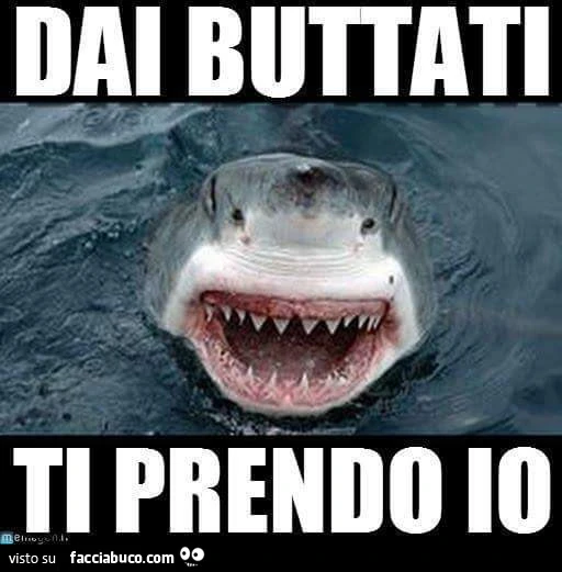 Squalo Bianco: dai buttati, ti prendo io