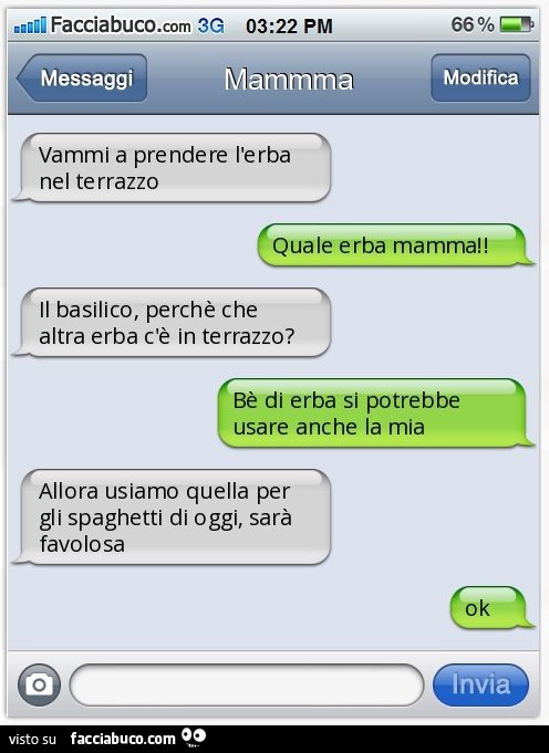 Vammi a prendere l'erba nel terrazzo. Quale erba mamma! Il basilico, perchè che altra erba c'è in terrazzo? Bè di erba si potrebbe usare anche la mia. Allora usiamo quella per gli spaghetti di oggi, sarà favolosa. Ok