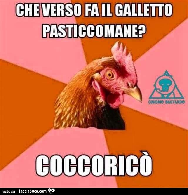 Che verso fa il galletto pasticcomane? Coccoricò