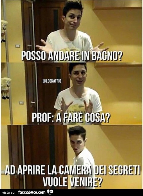 Posso andare in bagno? Prof: a fare cosa? Ad aprire la camera dei segreti, vuole venire?