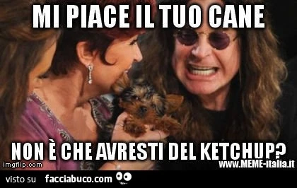 Mi piace il tuo cane. Non è che avresti del ketchup?