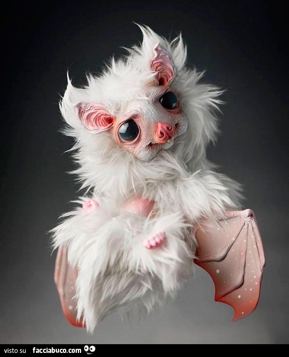 Creatura fantasy. Pipistrello bianco peloso
