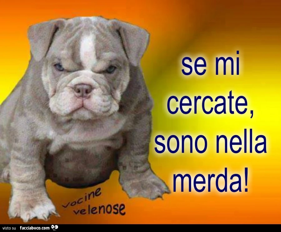 Se mi cercate, sono nella merda