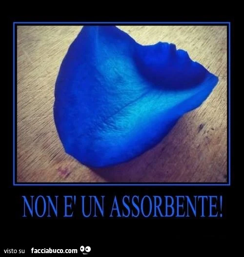 Petalo blu. Non è un assorbente