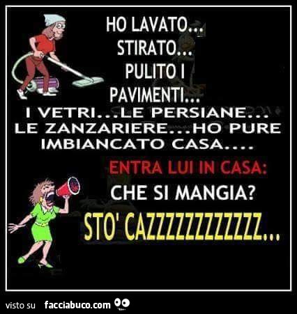 Ho lavato, stirato, pulito pavimenti. I vetri, le persiane, le zanzariere. Ho pure imbiancato casa. Entra lui in casa: che si mangia? Sto cazz
