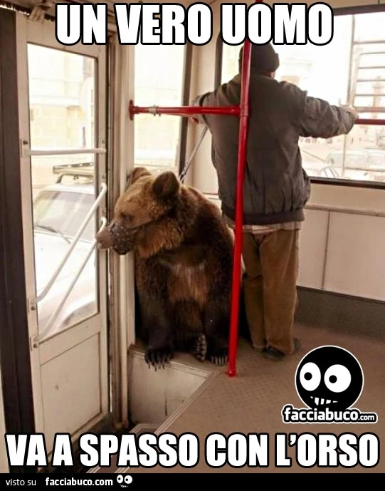 Un vero uomo va a spasso con l'orso