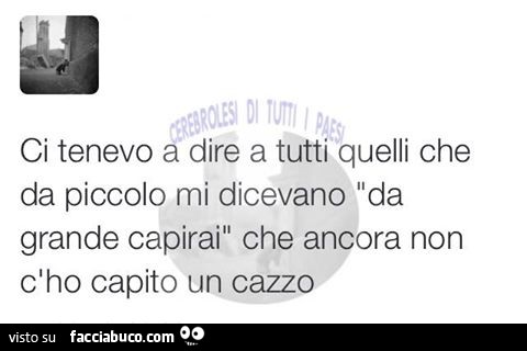 Ci tenevo a dire a tutti quelli che da piccolo mi dicevano "da grande capirai" che ancora non c'ho capito un cazzo