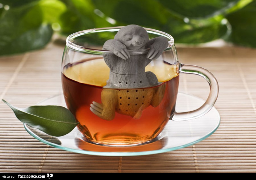 Vita Is Better IN Pigiama Bradipo 426ml Grande Tazza Scherzo Divertente Animale